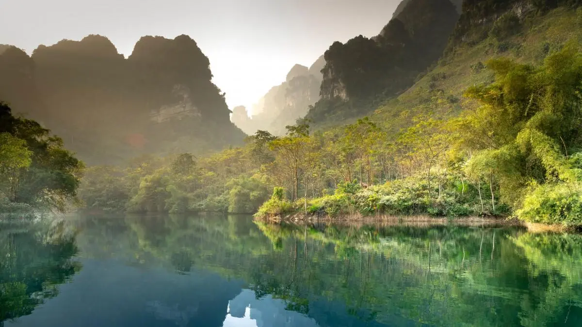 环保高效